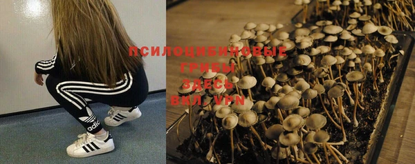 стафф Нефтекумск