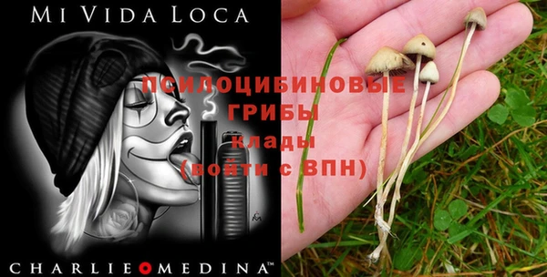 стафф Нефтекумск